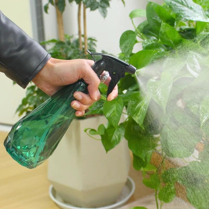 600Ml Handheld Mist Sprayer Bo - Gardening Tools Watering Can ulasan dan harga
